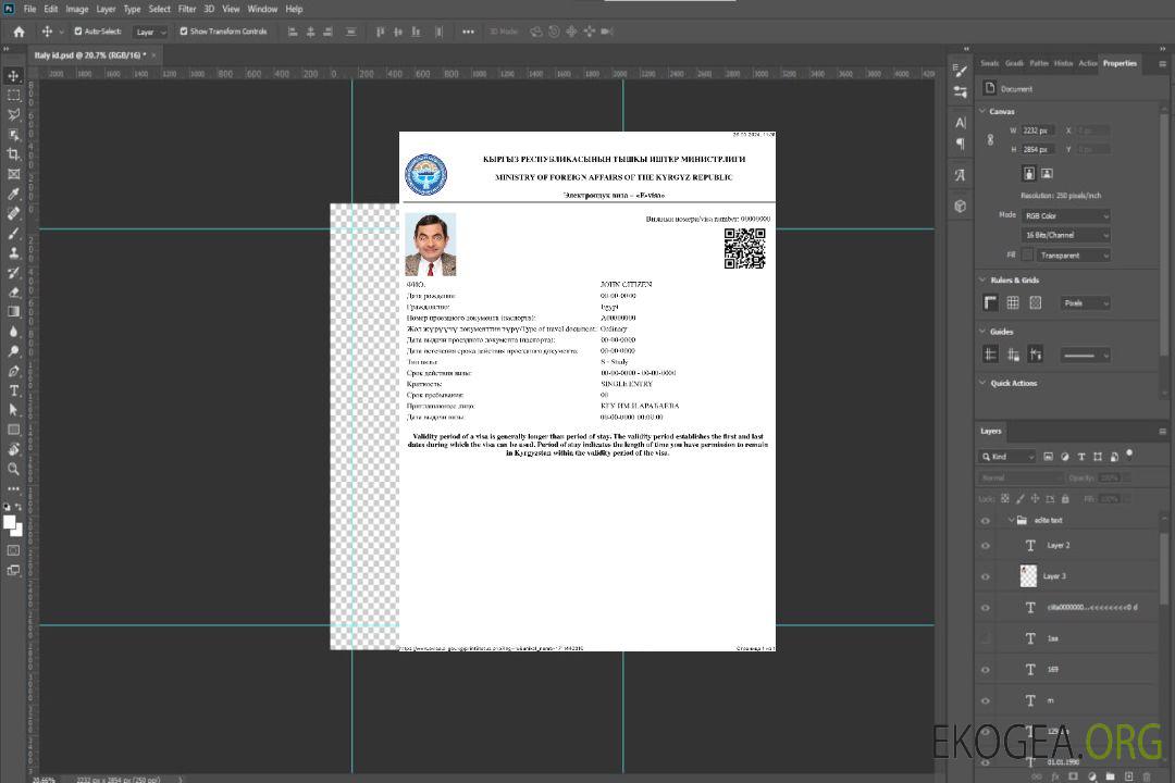 Visa électronique pour la République kirghize template Visa électronique pour la République kirghize template